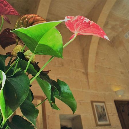 לינה וארוחת בוקר Xagħra Encanto Vegetarian Bed & Breakfast מראה חיצוני תמונה