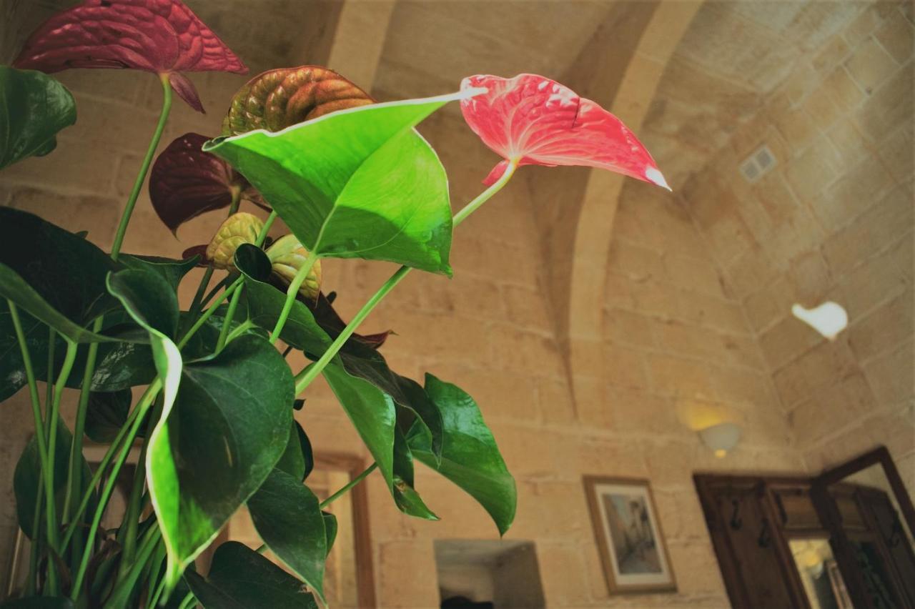 לינה וארוחת בוקר Xagħra Encanto Vegetarian Bed & Breakfast מראה חיצוני תמונה