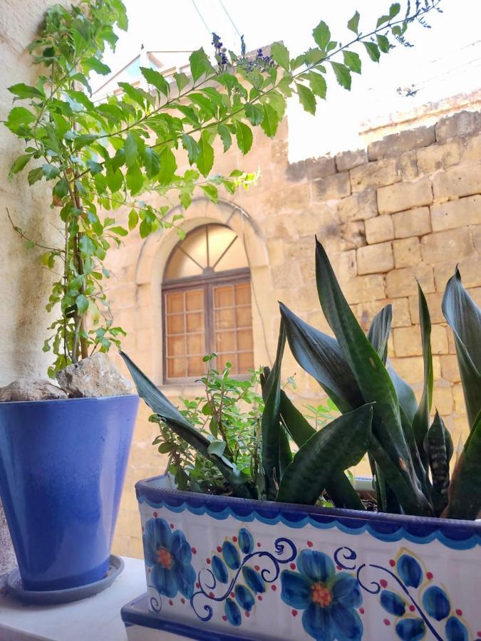 לינה וארוחת בוקר Xagħra Encanto Vegetarian Bed & Breakfast מראה חיצוני תמונה